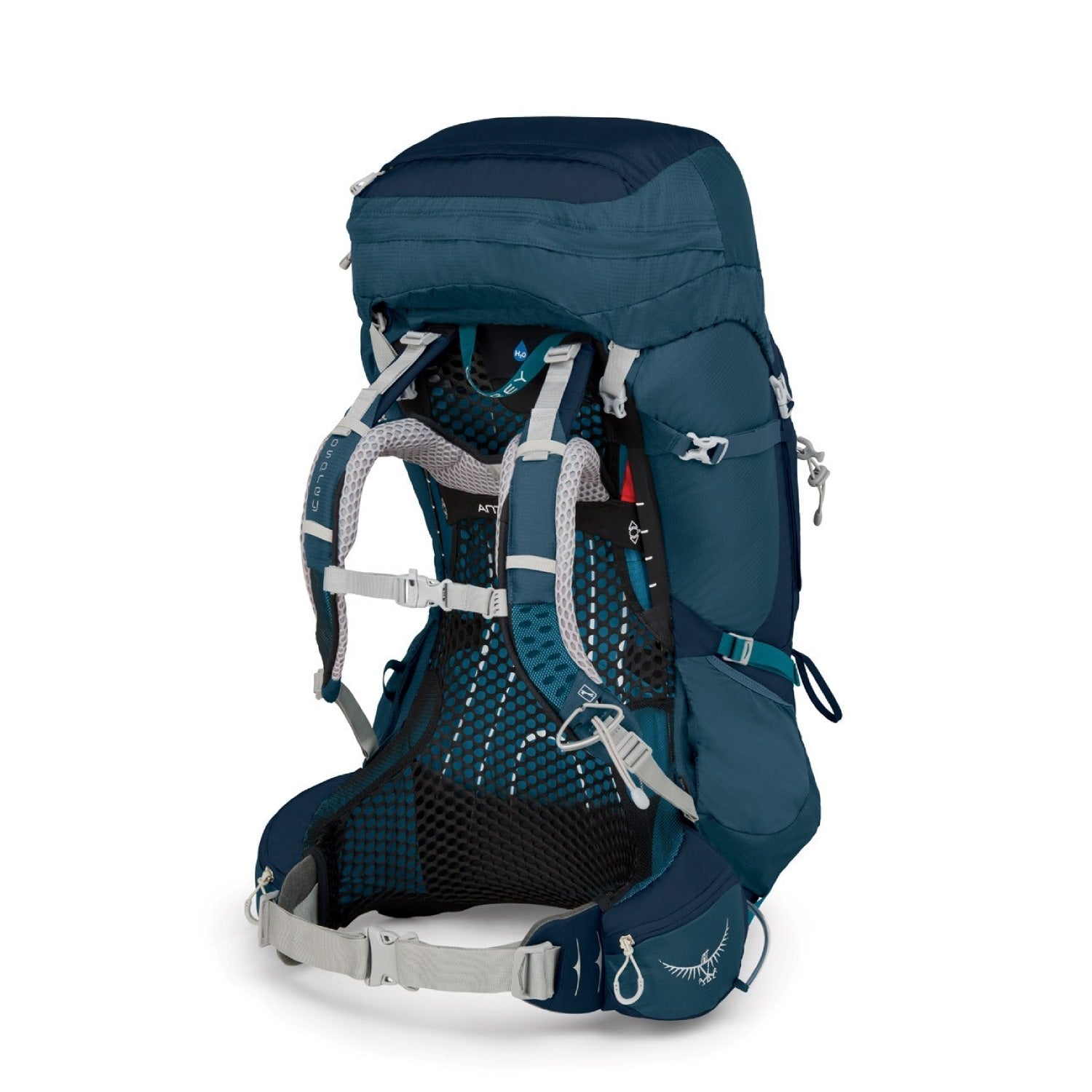 Osprey Aura AG 65 Backpack - Extra Small - Women's Backpacking (Challenger Blue)