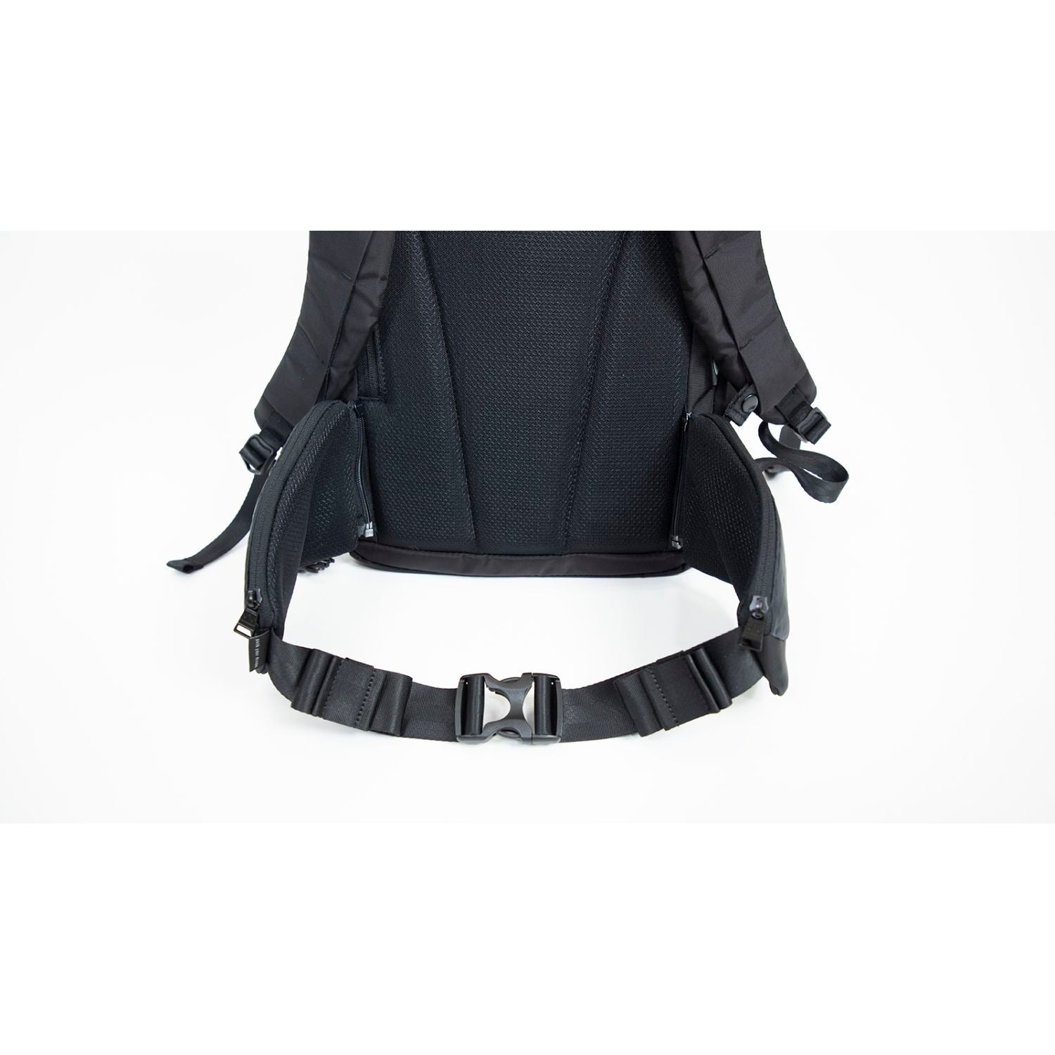 Doughnut Stargazer - Black