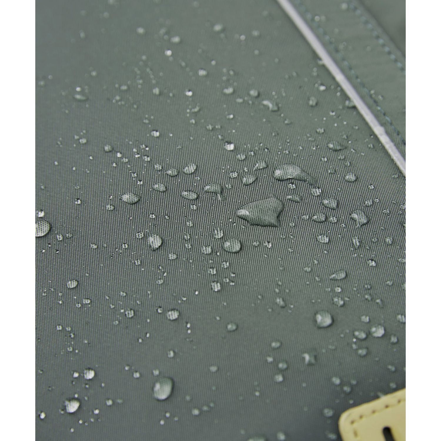 Echolac Dayone Backpack (Green)