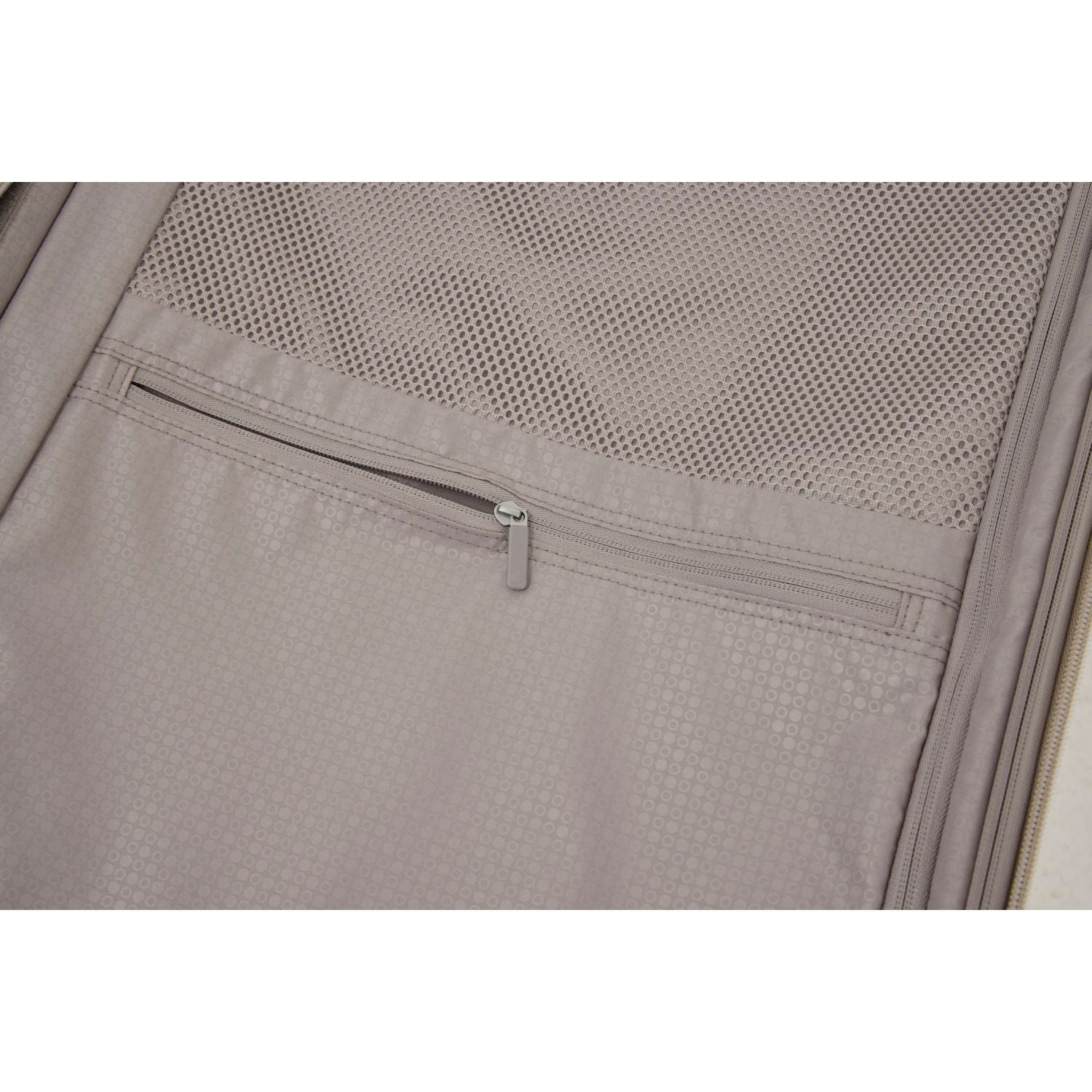 Echolac Dynasty Trunk 28" Upright Large Luggage (Brown)