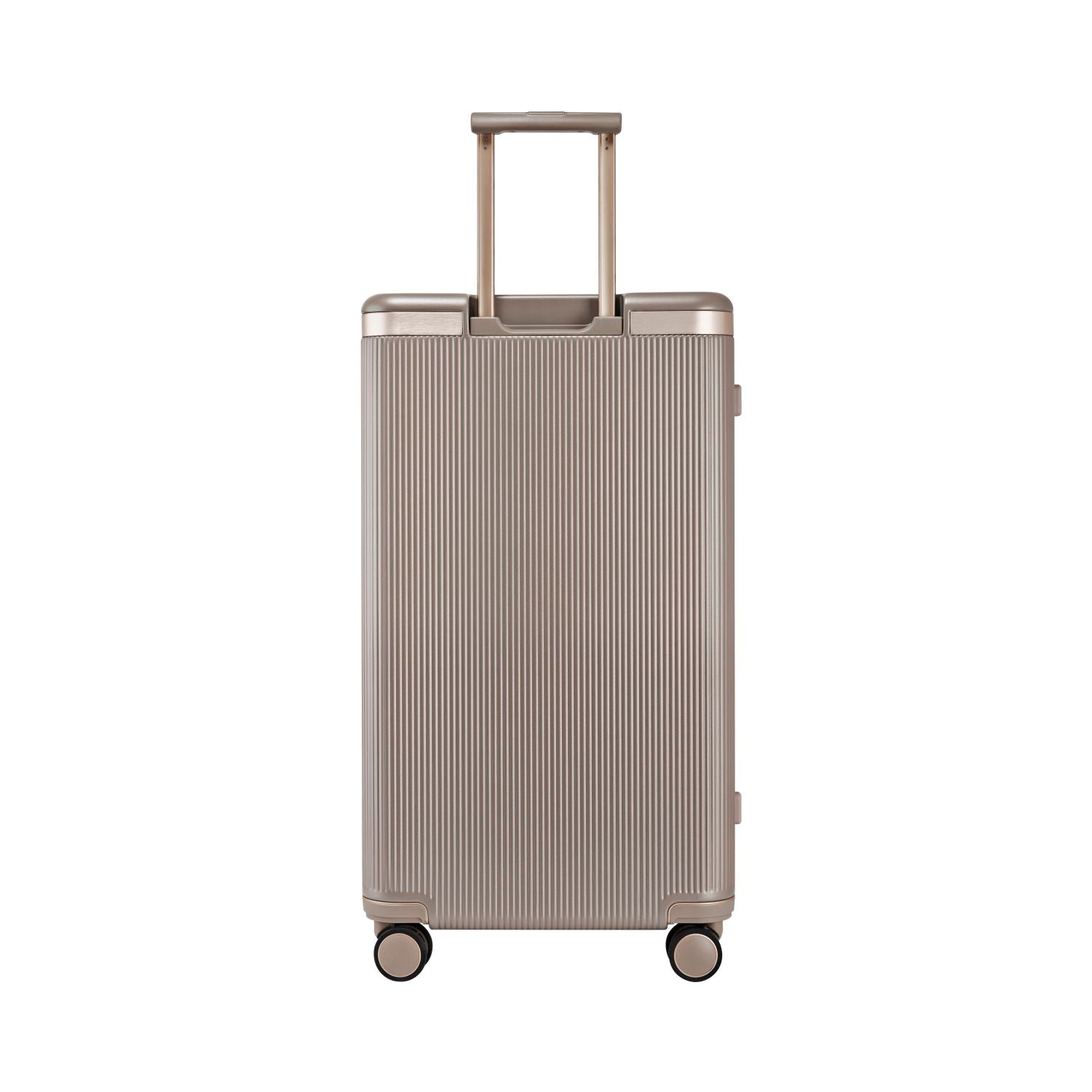 Echolac Dynasty Trunk 28" Upright Large Luggage (Brown)
