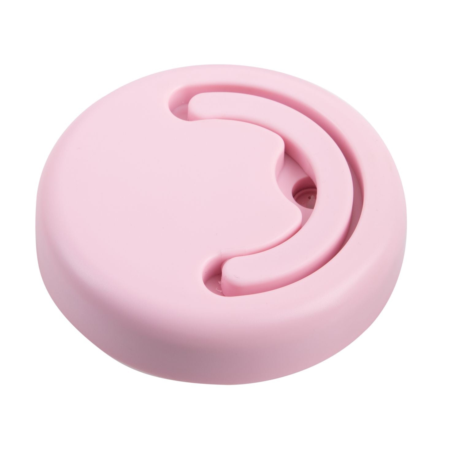 Oasis Stainless Steel Insulated Food Container with Handle 470ML - Carnation