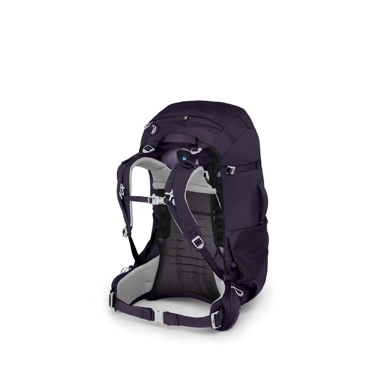 Osprey Fairview Trek Travel Pack 50 Backpack - Women's Travel Pack - Backpacking (Amulet Purple)