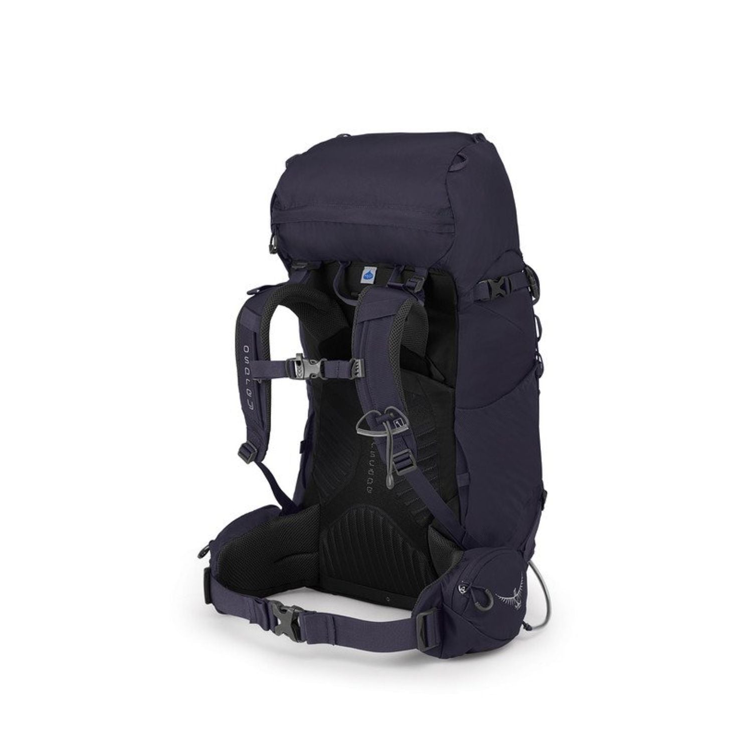 Osprey Kyte 36 Backpack - Small/Medium - Women's Backpacking - Day Hiking (Mulberry Purple)