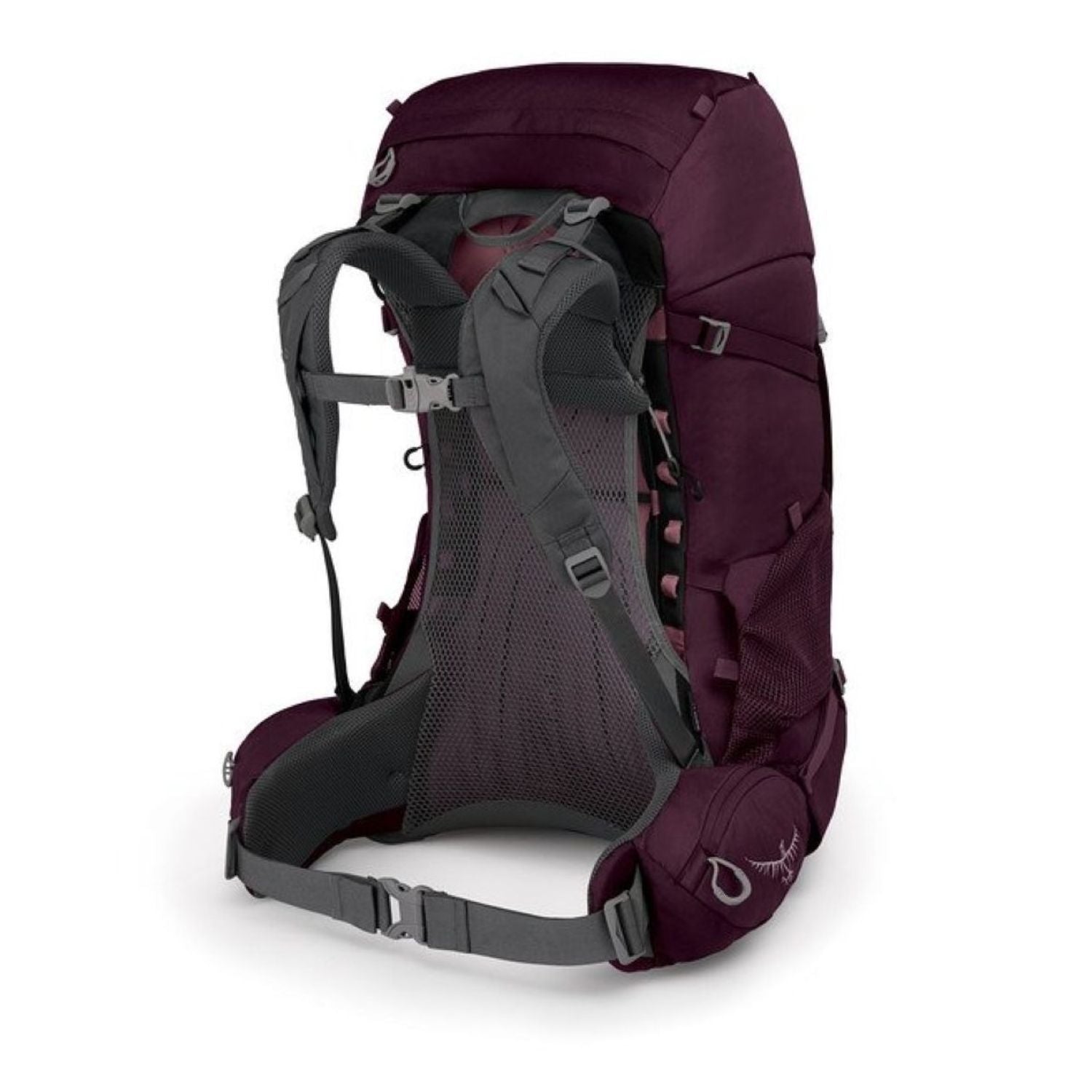 Osprey Renn 50 Backpack - Women's Backpacking (Aurora Purple)