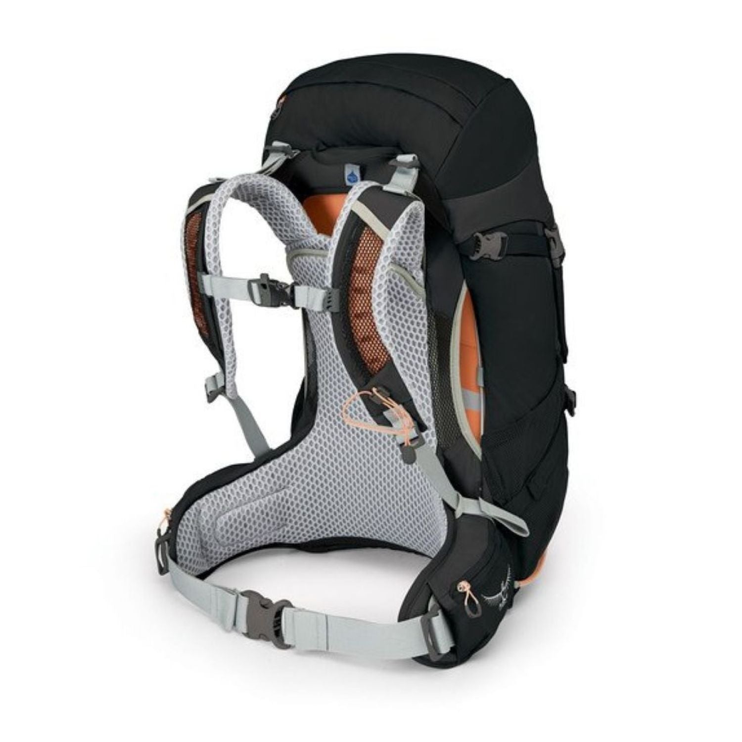 Osprey Sirrus 26 Backpack - Women's Day Hiking (Black)