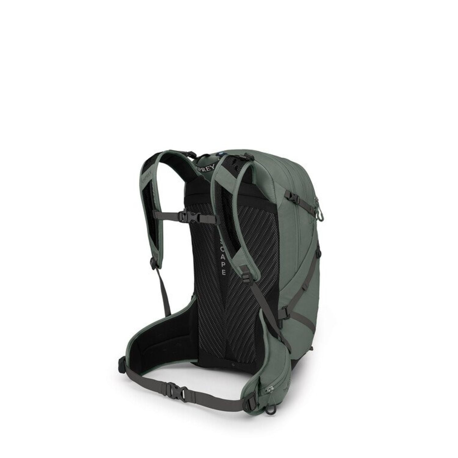 Osprey Sportlite 25 S/M - Hiking (Pine Leaf Green)
