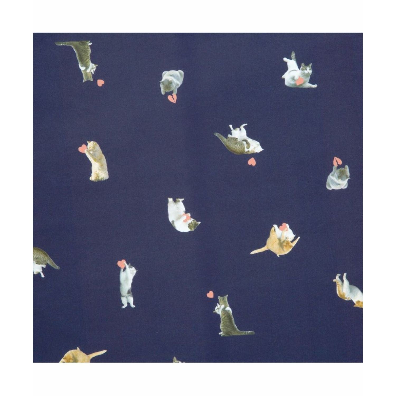 WPC X Masayuki Oki Neko UV Protection UPF 50+ Umbrella 49cm (Navy)