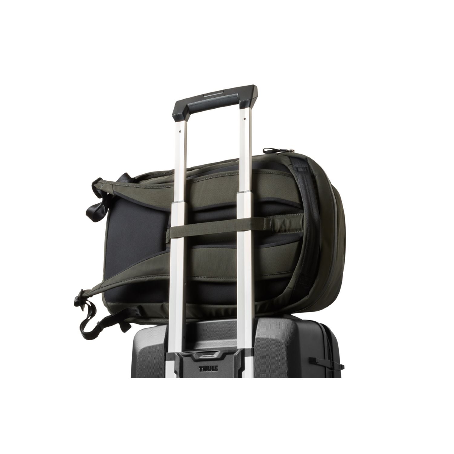 Bellroy Transit Workpack - Second Edition - Olive