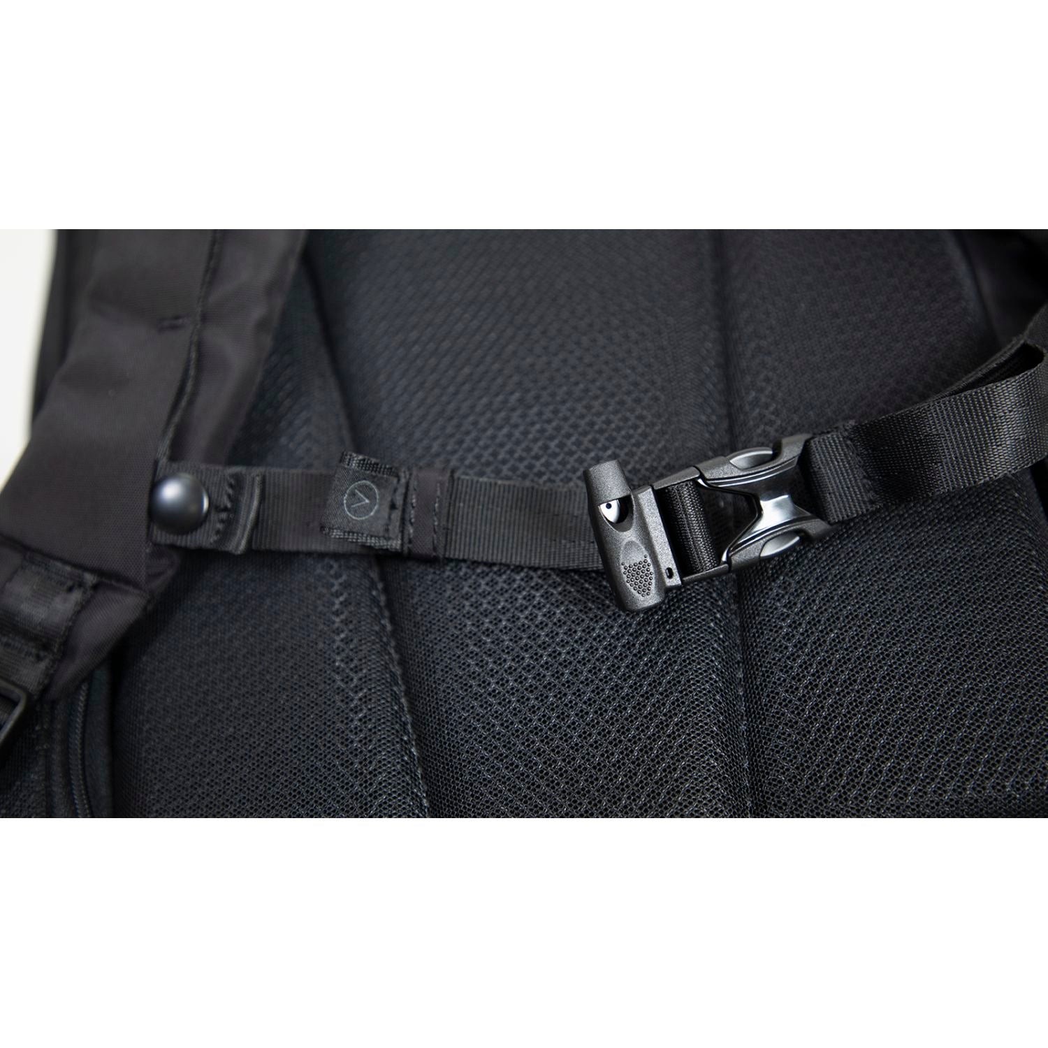 Doughnut Stargazer - Black