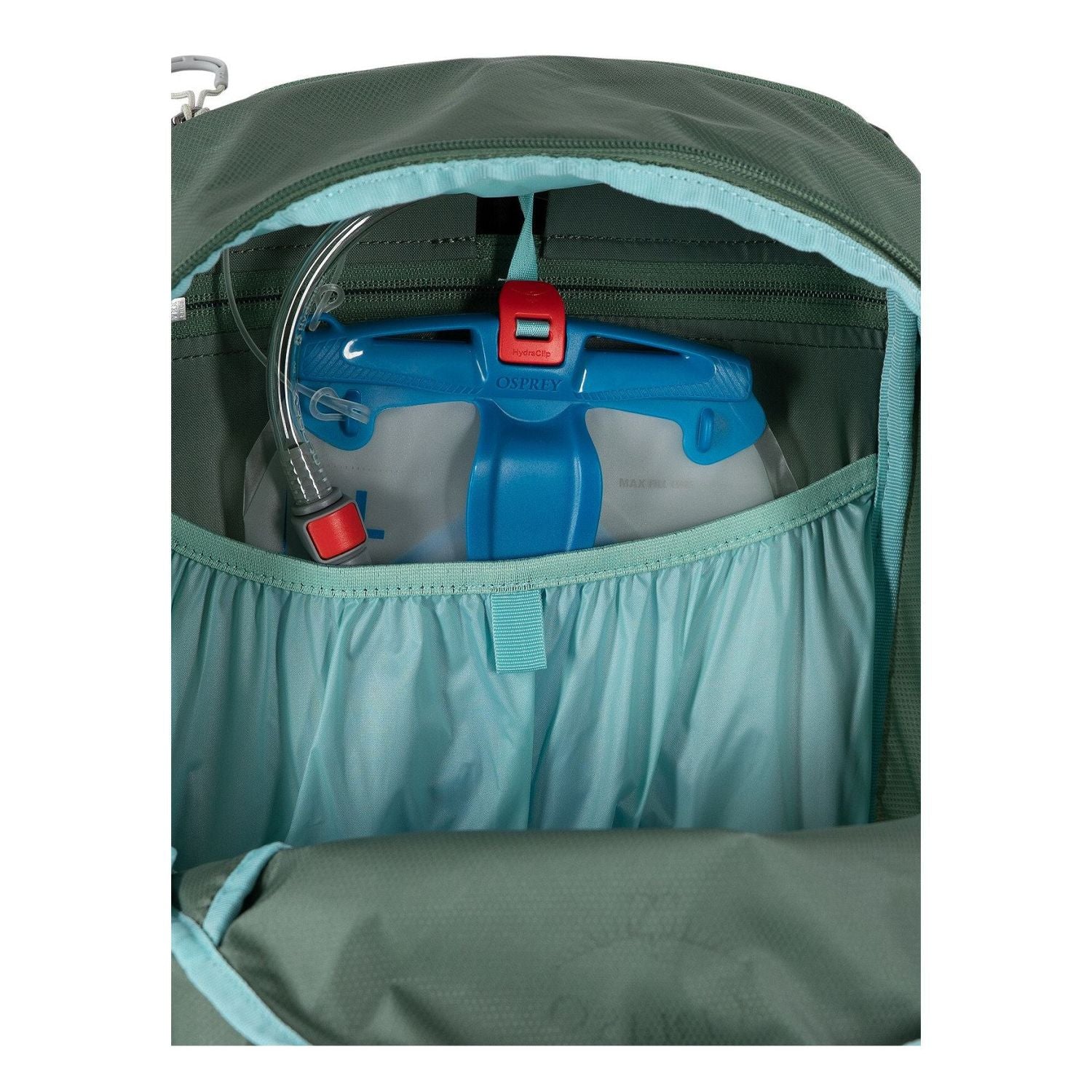 Osprey Hikelite 26 Backpack O/S - Everyday - Hiking (Pine Leaf Green)