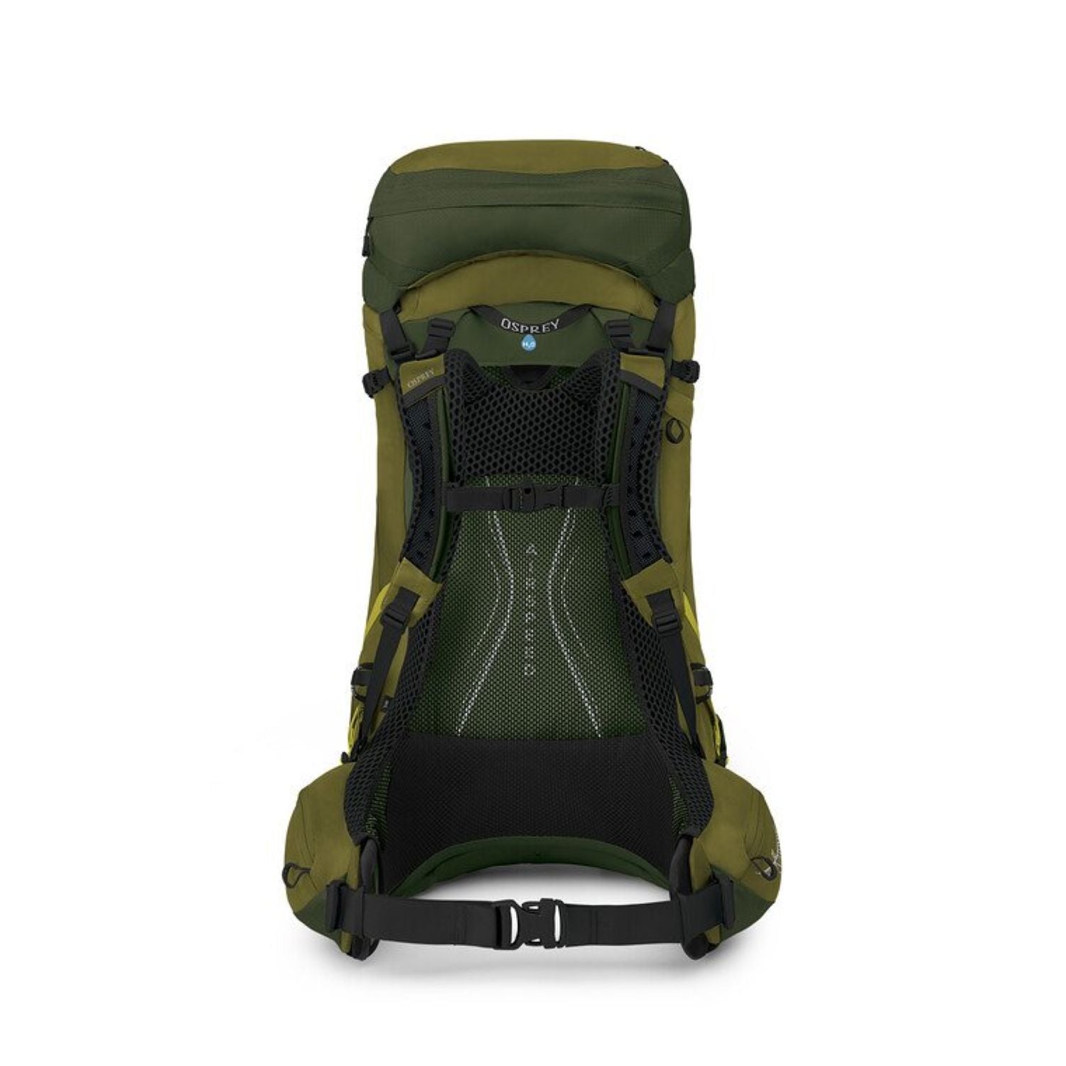 Osprey Atmos AG LT 50 Backpack S/M - Scenic Valley/Green Peppercorn