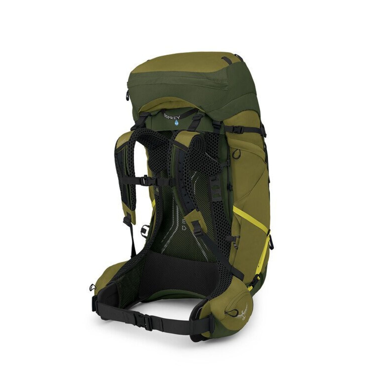 Osprey Atmos AG LT 65 Backpack - L/XL - Scenic Valley Green Peppercorn