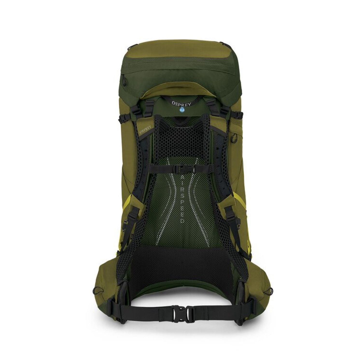 Osprey Atmos AG LT 65 Backpack - L/XL - Scenic Valley Green Peppercorn
