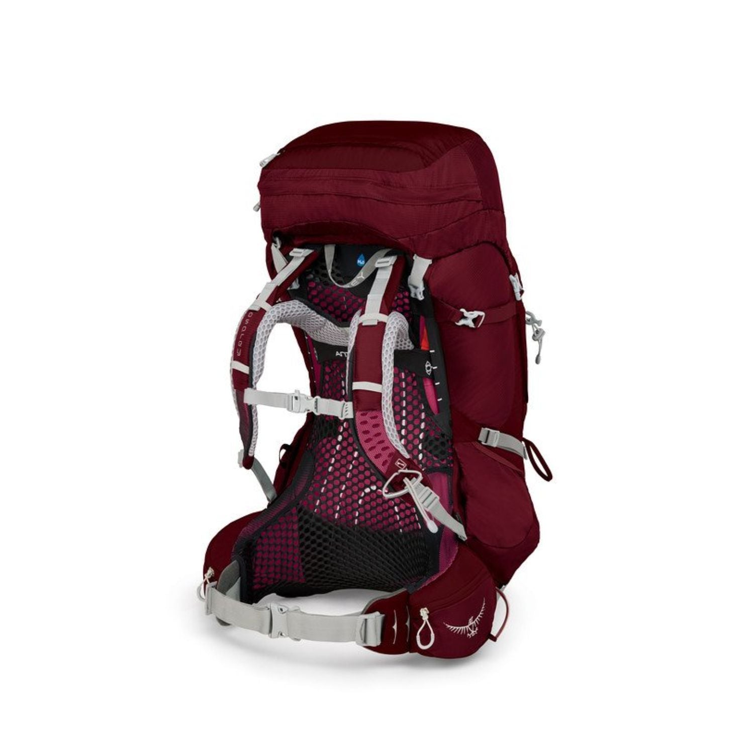 Osprey Aura AG 65 Backpack with Raincover - Small - Women's Backpacking (Gamma Red)