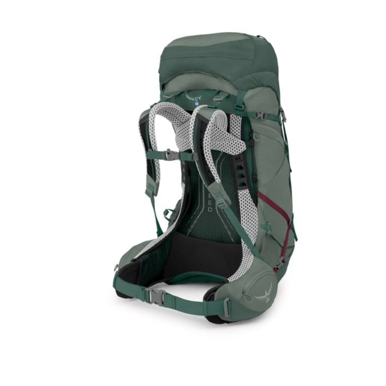 Osprey Aura AG LT 50 Backpack M/L - Women's Backpacking - Koseret/Darjeeling Spring Green