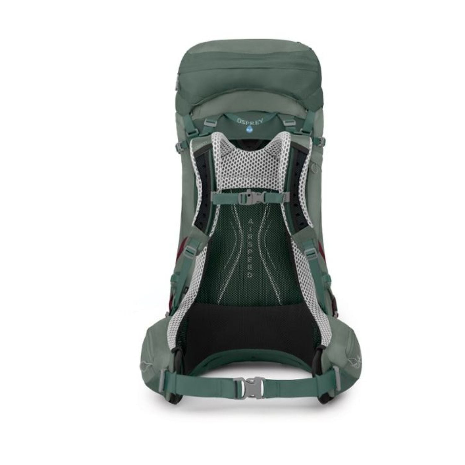 Osprey Aura AG LT 50 Backpack M/L - Women's Backpacking - Koseret/Darjeeling Spring Green
