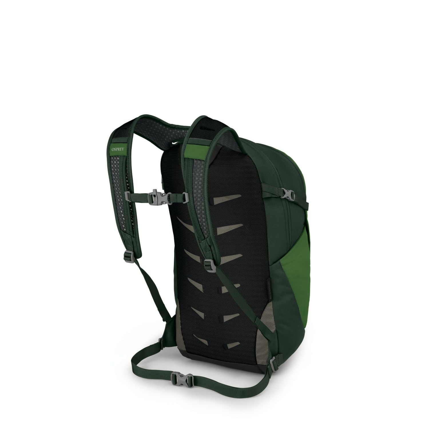 Osprey Daylite Plus 20L Backpack O/S - Green Belt/Green Canopy