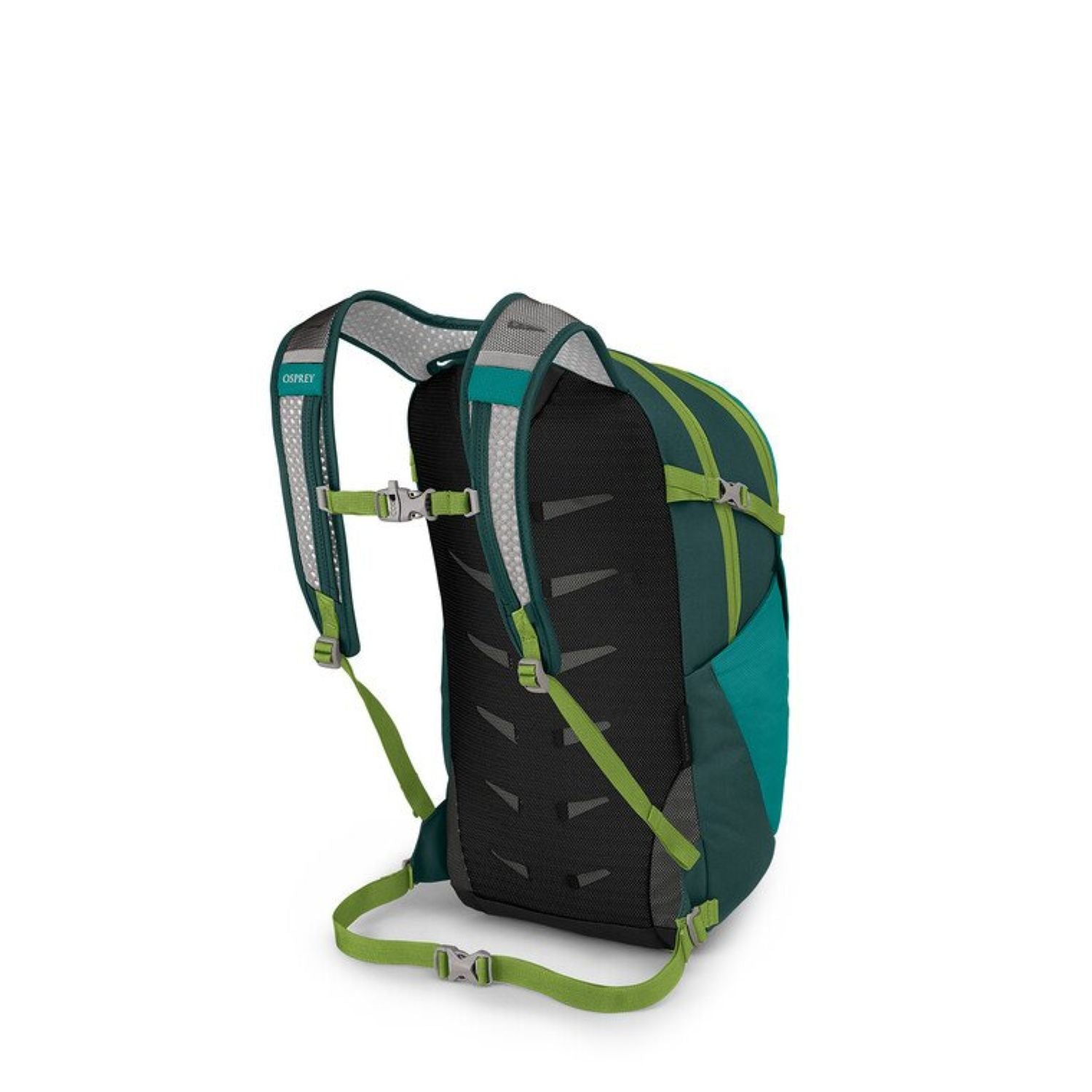 Osprey Daylite Plus Backpack 20L - Everyday - Escapade Green/Baikal Green
