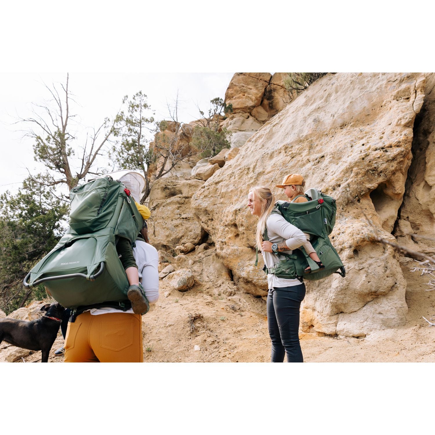 Osprey Poco Premium Child Carrier - Black