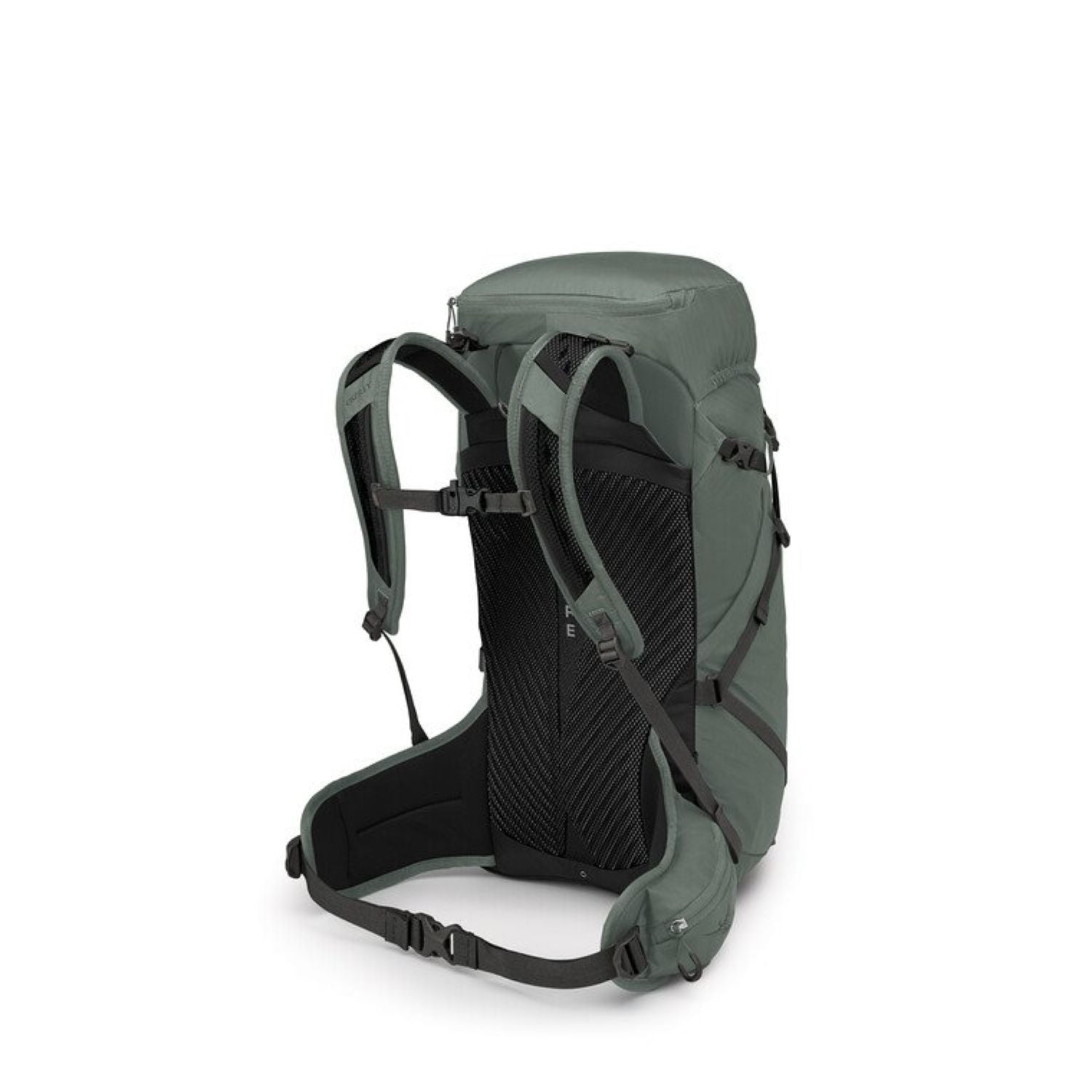 Osprey Sportlite 30L Backpack M/L - Pine Leaf Green