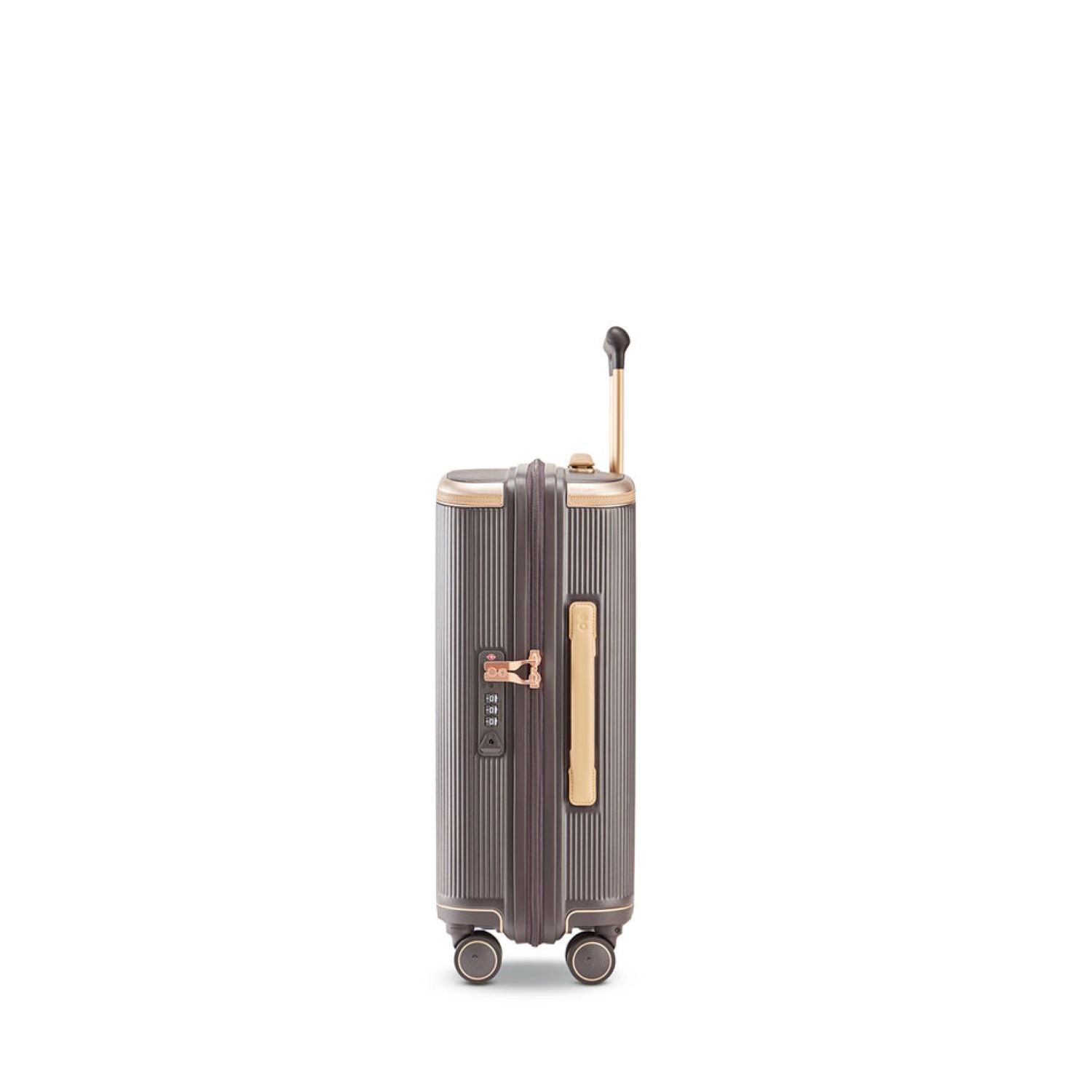 Echolac Dynasty VLX 20" - Dark Chocolate