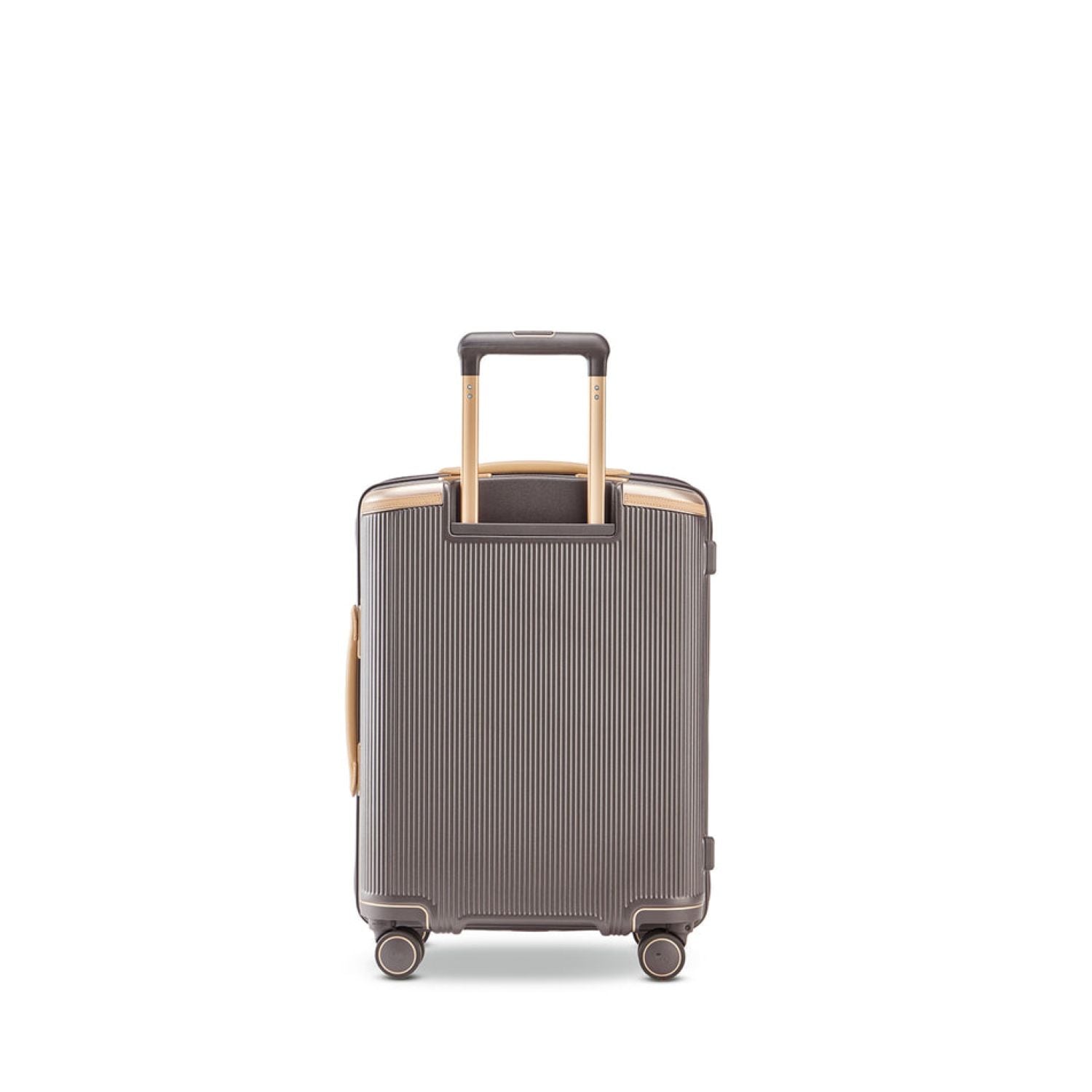 Echolac Dynasty VLX 28" - Dark Chocolate
