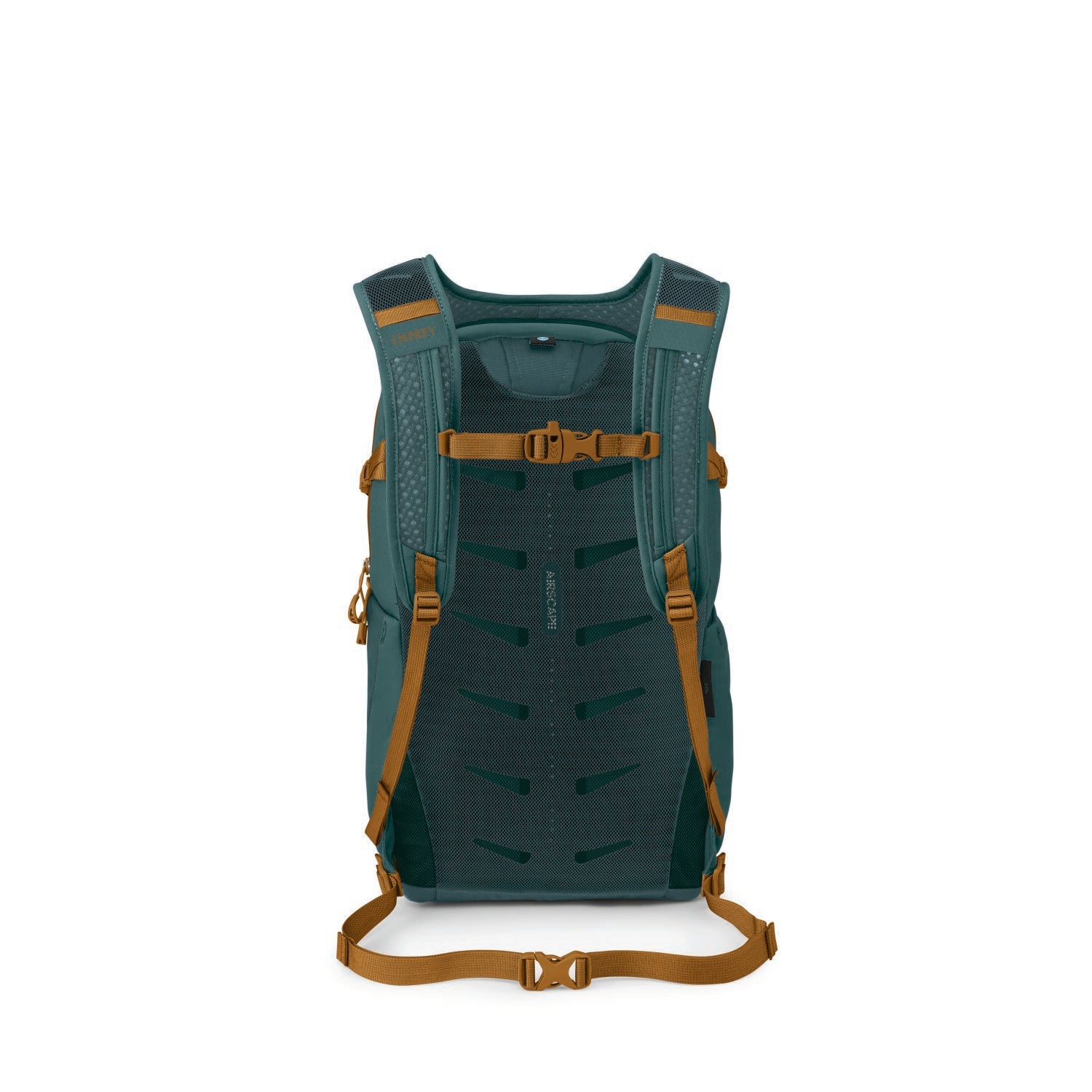 Osprey Daylite Plus 20L Backpack O/S - Torrent Blue