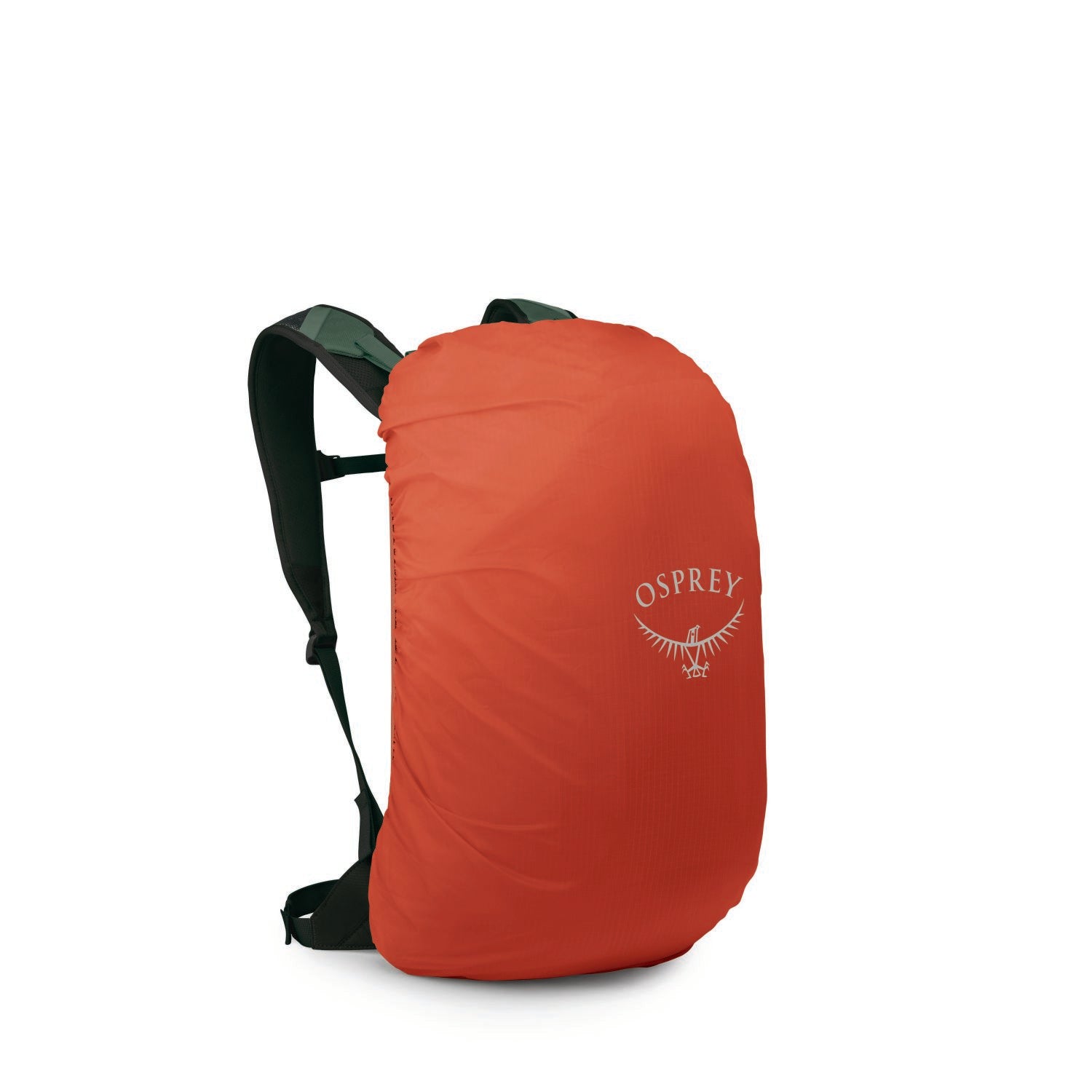 Osprey Hikelite Lt 22 Backpack O/S - Tundra Green