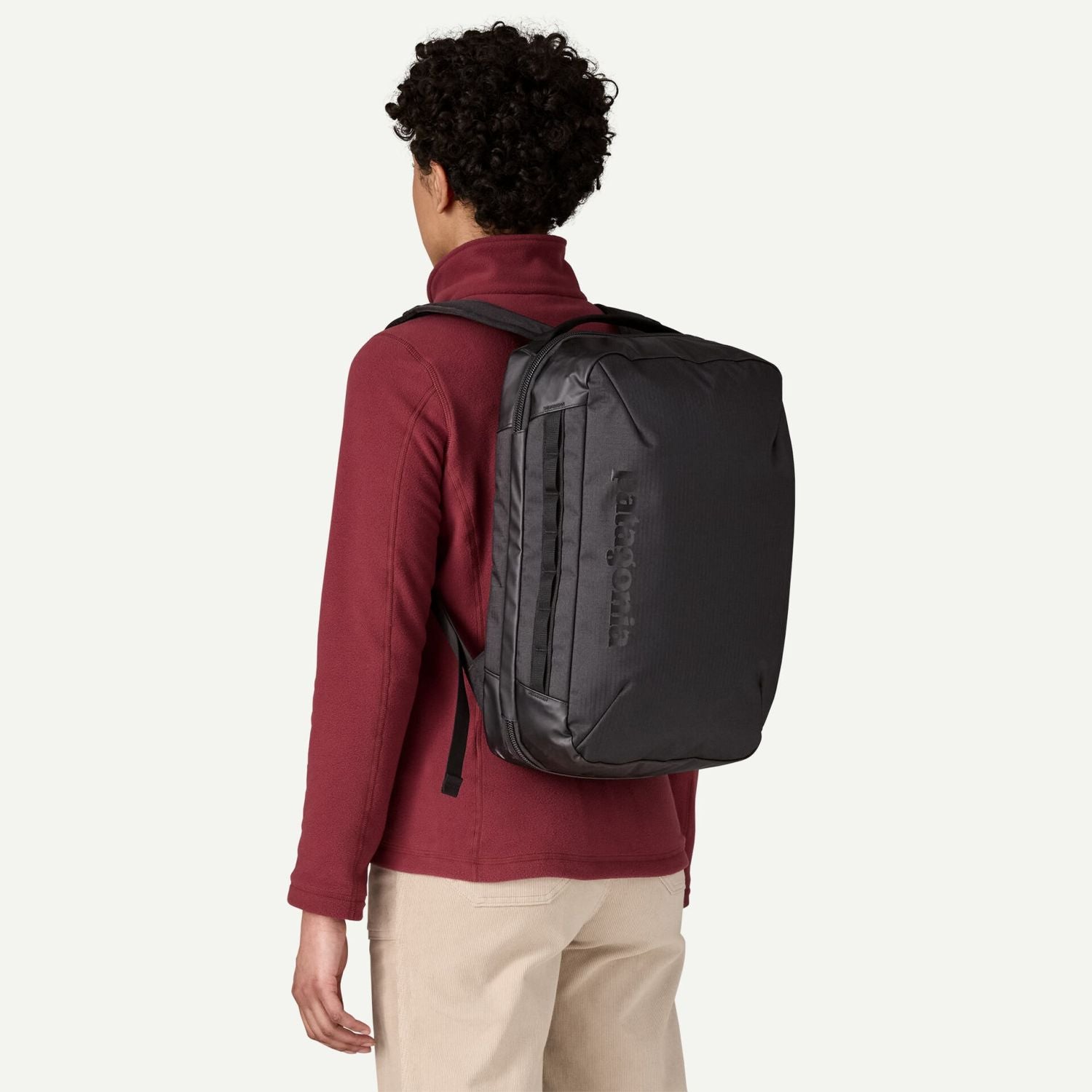 Patagonia Black Hole® Micro Mlc® Backpack 22L (Black)