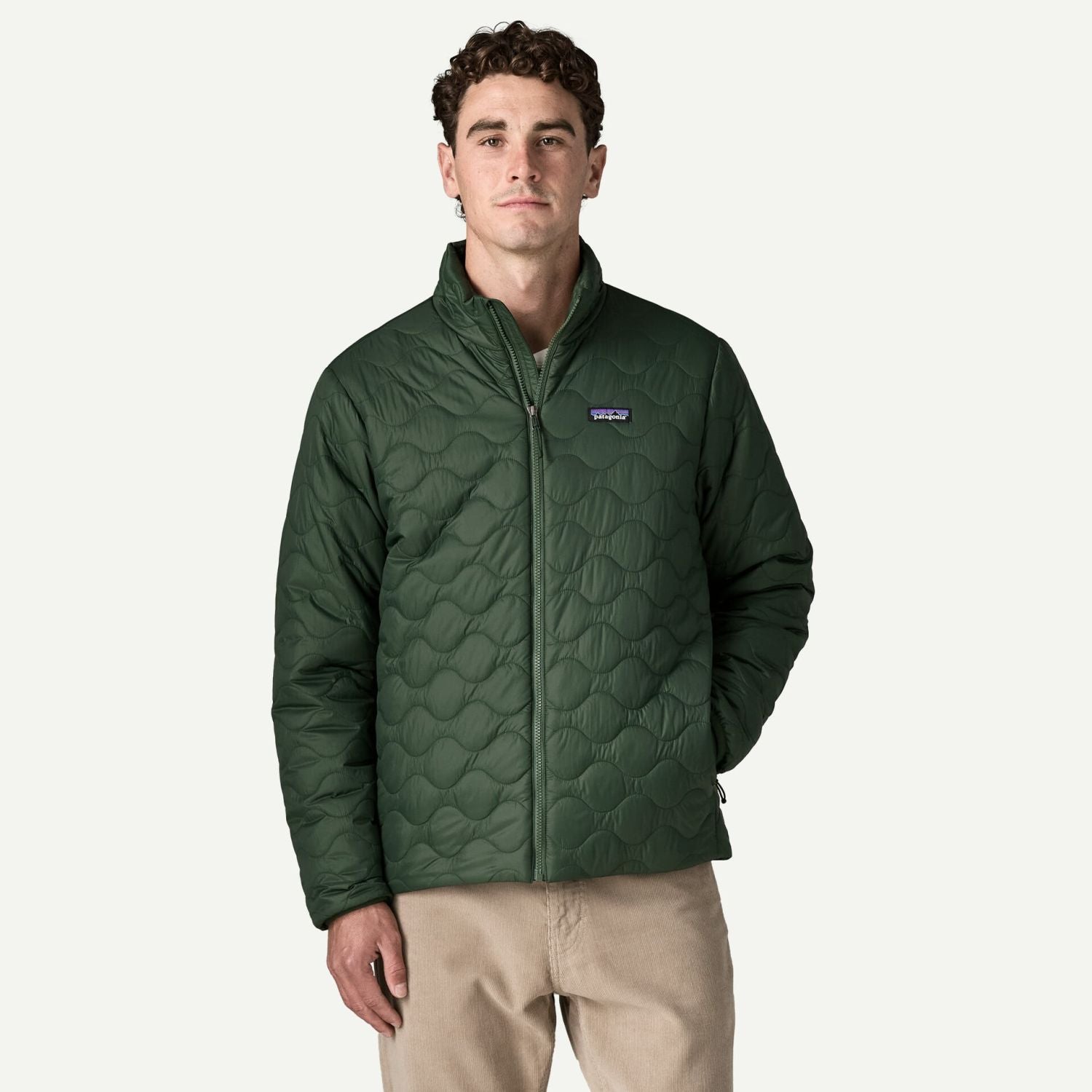 Patagonia Men's Heyes Peak Jacket (Treeline Green) - XL