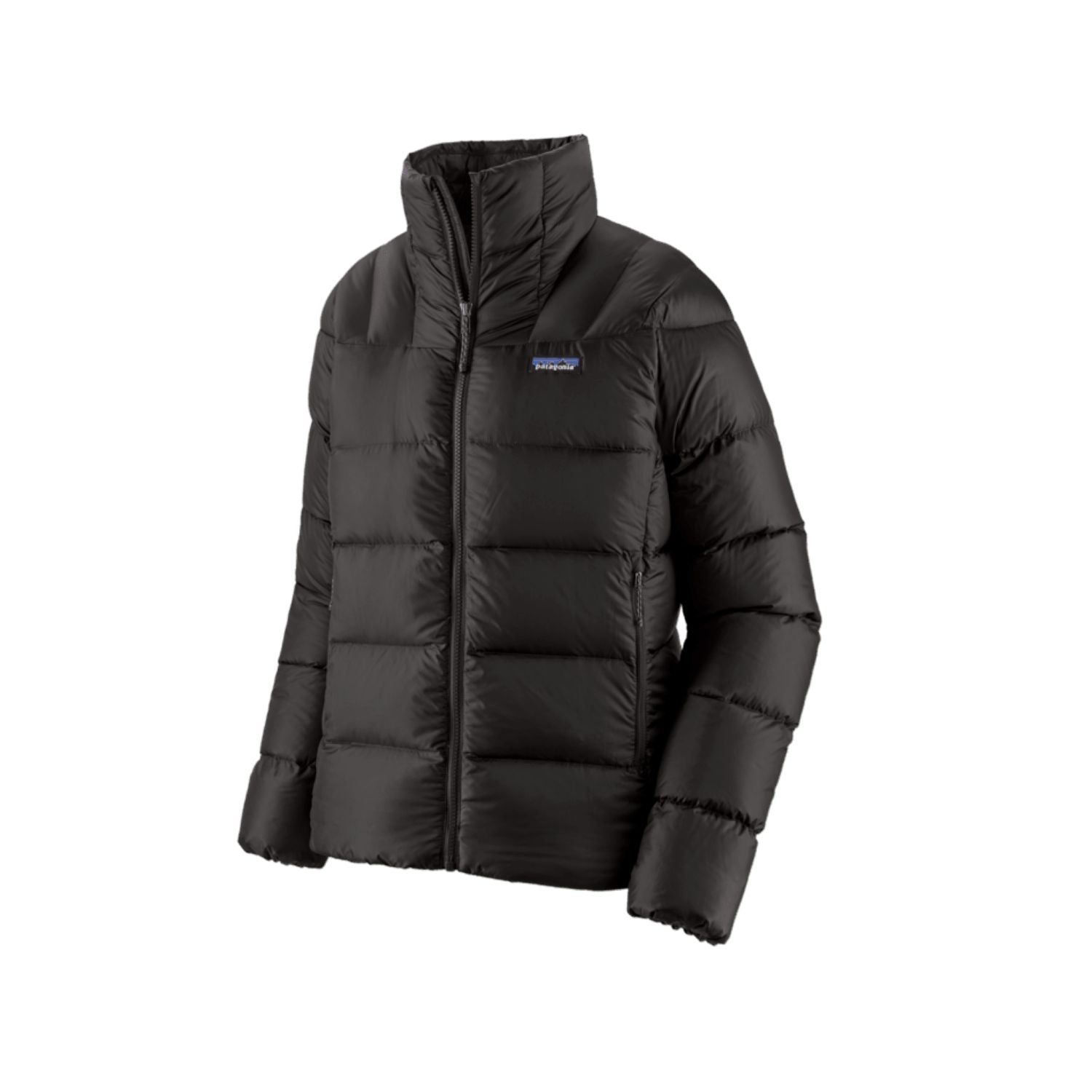 Patagonia Women's Fitz Roy Down Jacket (Black) - S