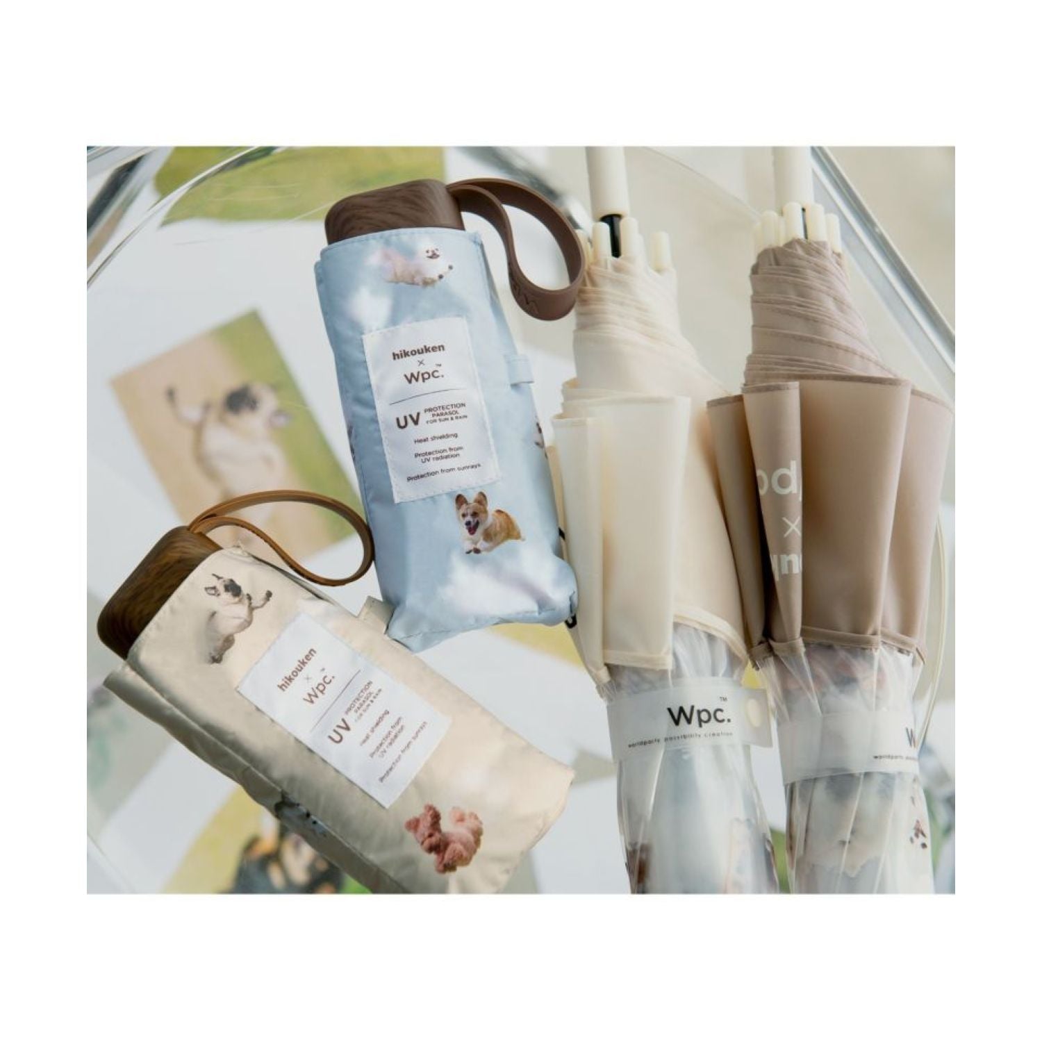 WPC Hikouken (2025) UV Protection UPF 50+ Umbrella 47cm (Saxon Blue)